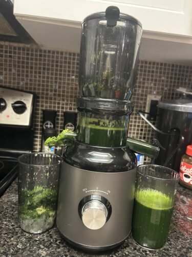 Electric Large Mouth Centrifugal Juicer photo review